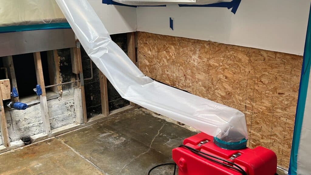 Mold Remediation in Los Angeles